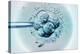 Embryo Selection for IVF Light Micrograph-ZEPHYR-Premier Image Canvas