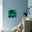 Emerald Fibers-Ruth Palmer-Stretched Canvas displayed on a wall