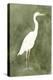 Emerald Heron III-Emma Caroline-Stretched Canvas