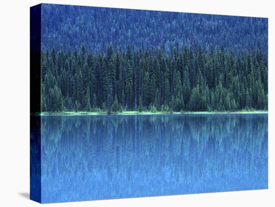 Emerald Lake Boathouse, Yoho National Park, British Columbia, Canada-Rob Tilley-Premier Image Canvas