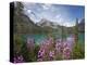 Emerald Lake, Yoho National Park, UNESCO World Heritage Site, British Columbia, Rocky Mountains, Ca-Martin Child-Premier Image Canvas
