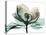 Emerald Magnolia 2-Albert Koetsier-Stretched Canvas