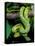 Emerald Tree Boa-David Northcott-Premier Image Canvas