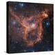 Emission Nebula IC 1805-Davide De Martin-Premier Image Canvas