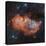 Emission Nebula IC 1848-Davide De Martin-Premier Image Canvas