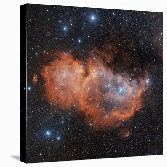 Emission Nebula IC 1848-Davide De Martin-Premier Image Canvas
