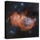 Emission Nebula IC 1848-Davide De Martin-Premier Image Canvas