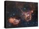 Emission Nebulae IC 1848 And IC 1805-Davide De Martin-Premier Image Canvas