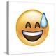 Emoji Big Smile Sweat-Ali Lynne-Premier Image Canvas