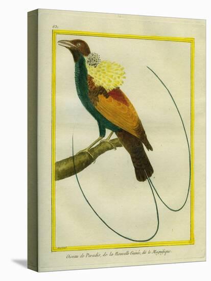 Emperor Bird-Of-Paradise-Georges-Louis Buffon-Premier Image Canvas