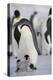 Emperor Penguin and Chick in Antarctica-Paul Souders-Premier Image Canvas