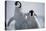 Emperor Penguin Chicks in Antarctica-Paul Souders-Premier Image Canvas