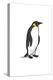 Emperor Penguin - Icon-Lantern Press-Stretched Canvas