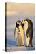 Emperor Penguin Parents with Baby-DLILLC-Premier Image Canvas