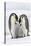 Emperor Penguin, Two Adults with Two Chicks-null-Premier Image Canvas