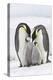 Emperor Penguin, Two Adults with Two Chicks-null-Premier Image Canvas