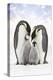 Emperor Penguin, Two Adults with Two Chicks-null-Premier Image Canvas