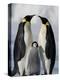 Emperor Penguins (Aptenodytes Forsteri) and Chick, Snow Hill Island, Weddell Sea, Antarctica-Thorsten Milse-Premier Image Canvas