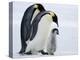 Emperor Penguins (Aptenodytes Forsteri) and Chick, Snow Hill Island, Weddell Sea, Antarctica-Thorsten Milse-Premier Image Canvas