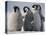 Emperor Penguins in Antarctica-Paul Souders-Premier Image Canvas