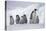 Emperor Penguins in Antarctica-null-Premier Image Canvas