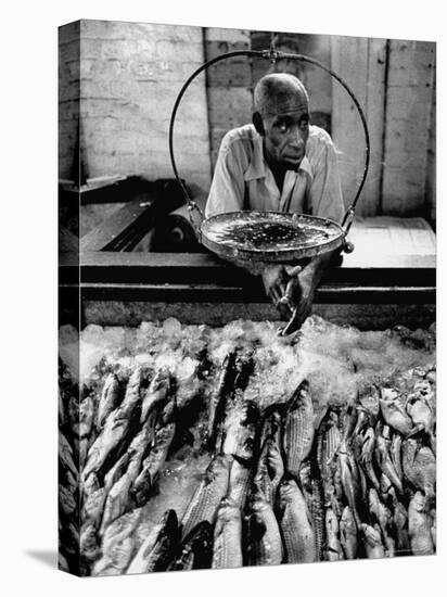 Employee of Fish Stall in the Old City Market-Robert W^ Kelley-Premier Image Canvas