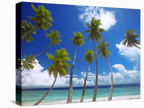 Empty Beach and Palm Trees, Maldives, Indian Ocean-Papadopoulos Sakis-Premier Image Canvas