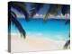 Empty Beach and Palms Trees, Seychelles, Indian Ocean, Africa-Sakis Papadopoulos-Premier Image Canvas