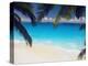 Empty Beach and Palms Trees, Seychelles, Indian Ocean, Africa-Sakis Papadopoulos-Premier Image Canvas