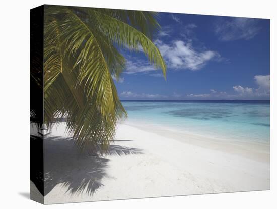 Empty Beach on Tropical Island, Maldives, Indian Ocean, Asia-Sakis Papadopoulos-Premier Image Canvas