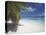 Empty Beach on Tropical Island, Maldives, Indian Ocean, Asia-Sakis Papadopoulos-Premier Image Canvas