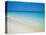 Empty Beach, Paradise Island, Bahamas-Ethel Davies-Premier Image Canvas