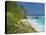 Empty Beach, Seychelles, Indian Ocean, Africa-Sakis Papadopoulos-Premier Image Canvas