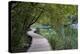 Empty Boardwalk, Lower Lakes, Plitvice Lakes NP, Croatia. Before The Large Waterfall Or Veliki Slap-Karine Aigner-Premier Image Canvas