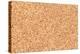 Empty Bulletin Board Background Texture, Natural Cork Board-Eugene Sergeev-Premier Image Canvas