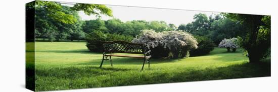 Empty Park Bench, Grand Rapids, Michigan, USA-null-Premier Image Canvas