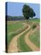 Empty Rural Road or Farm Track in Agricultural Land, Picardie, France, Europe-Thouvenin Guy-Premier Image Canvas