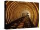 Empty Tourist Subway Car Runs Through Illuminated Tunnel in Shanghai, China-null-Premier Image Canvas