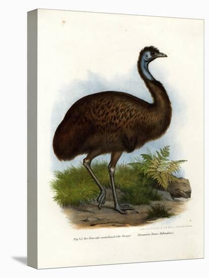 Emu, 1864-null-Premier Image Canvas