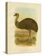 Emu, 1891-Gracius Broinowski-Premier Image Canvas