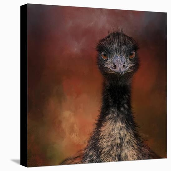 Emu Stare-Jai Johnson-Premier Image Canvas