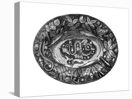 Enamelled Dish by Bernard Palissy, 16th Century-Bernard Palissy-Premier Image Canvas