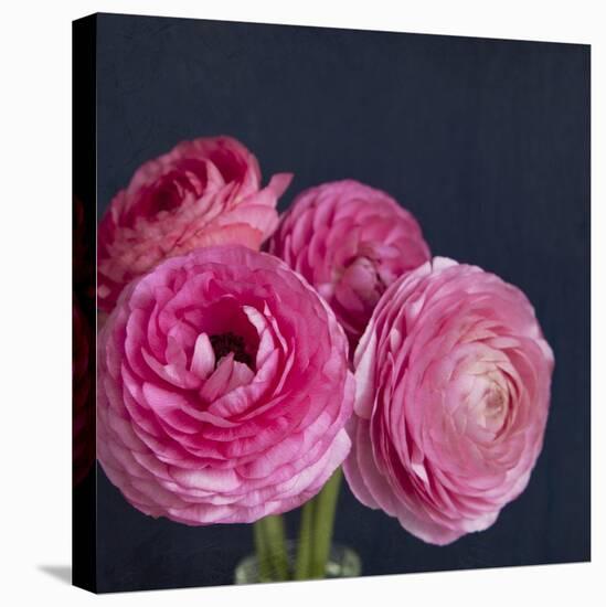Enchanted Blooms-Susannah Tucker-Stretched Canvas