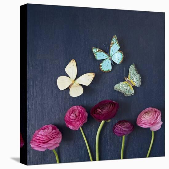 Enchanted Butterflies-Susannah Tucker-Stretched Canvas