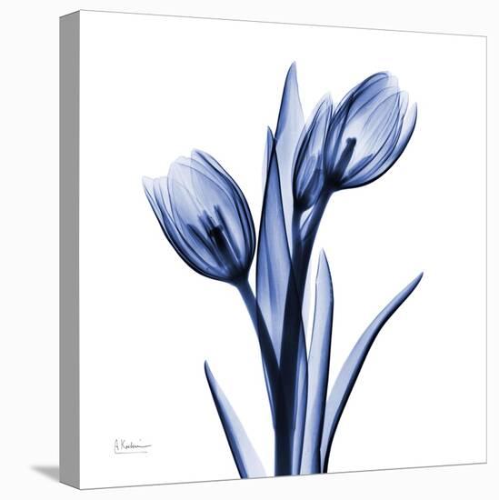 Enchanted Indigo Tulips-Albert Koetsier-Stretched Canvas