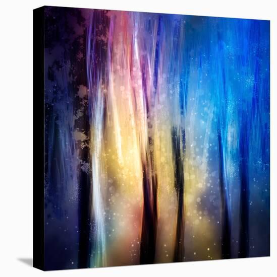 Enchanted Night-Ursula Abresch-Premier Image Canvas