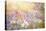 Enchantment-Jacky Parker-Premier Image Canvas
