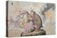 Enchantments Lately Seen Upon the Mountain of Wales-James Gillray-Premier Image Canvas