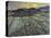 Enclosed Field with Rising Sun Saint-Remy-Vincent van Gogh-Premier Image Canvas