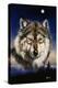 Endangered-Jenny Newland-Premier Image Canvas